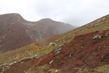 Mountains in autumn with brown and reddish grass under cloudy sky
