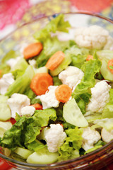 Fresh Vegetable Salad. Raw Organic Food.