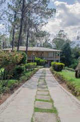 wooden cabin in the mountains surrounded by pine forests