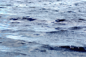 Obraz premium texture water ripples