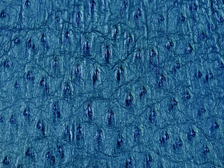 snake skin background