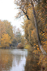 Autumn rain in the park