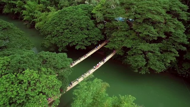 Aerial view of Sipatan Twin Hanging Bridge, Loboc, Philippines.