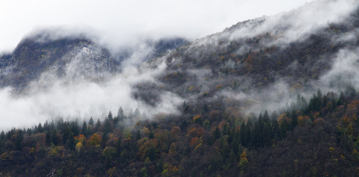 foggy autumn mountains © Anna Khomulo