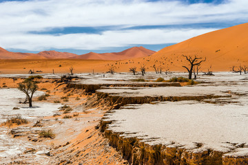 Drought cracked land with dead trees and dunes in the background. Deadvlei, a white clay pan in...