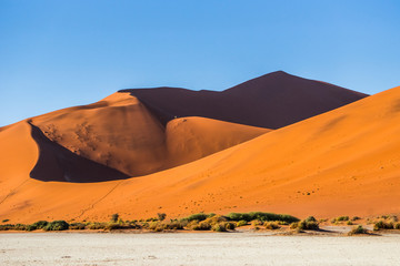 Fototapeta na wymiar The Namib desert: Big Daddy dune in Sossusvlei, Namibia