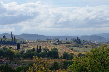 Fototapeta na wymiar Tuscany, Italy, countryside landscape near Arezzo with the hills cultivated with vineyards and the Cathedral on the background, on an autumn day