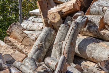 Sawn tree trunks of different sizes laying in pile close up