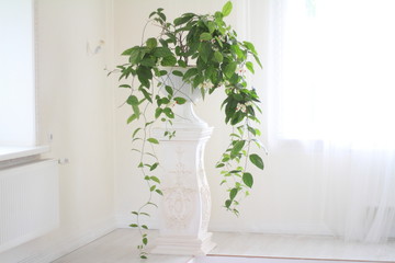 artificial flowers on a column in a white interior