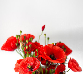 bouquet of field poppies