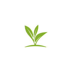 Leaf logo design inspiration, Tea leaf vector