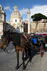 Fototapeta na wymiar Coche de caballos en el foro romano Roma Italia