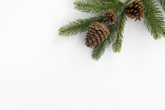 Christmas background. Fir tree branch and pine cones decoration on white paper. Creative flat lay, top view design