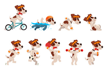 Cute sportive jack russell terrier set, funny pet dog character doing various kinds of sports vector Illustrations