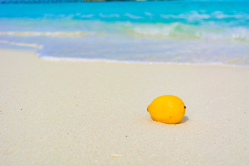 Fototapeta na wymiar 浜辺のレモン