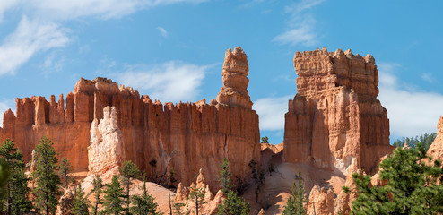 landscape on the bryce canyon in the united states of america