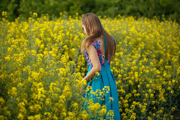 Naklejka na ściany i meble Young woman walk in rape field in bloom and touch yellow flowers