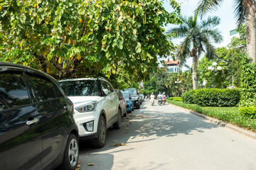 Parallel cars parking on street with green trees