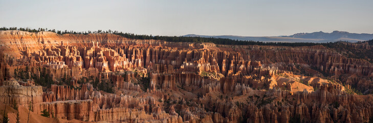 landscape on the bryce canyon in the united states of america