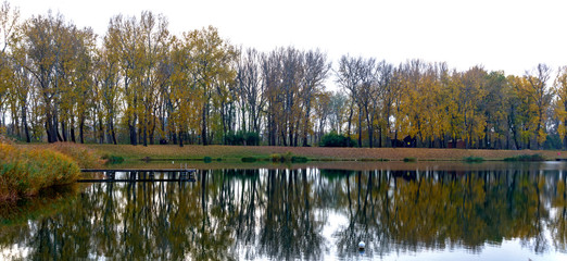 Riparian pool in autumn