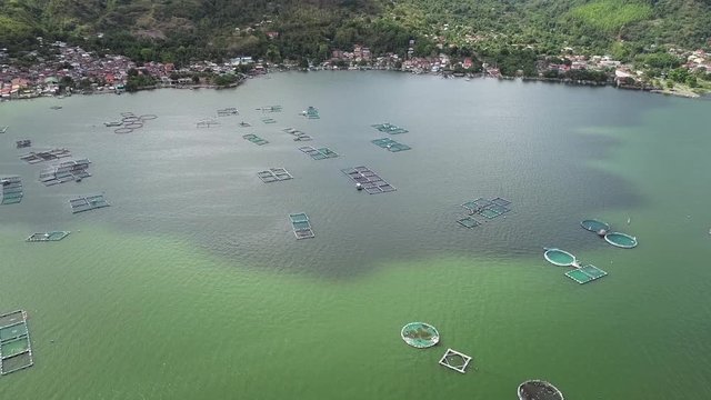 Aerial view of fish farm pools in Talisay, Philippines.