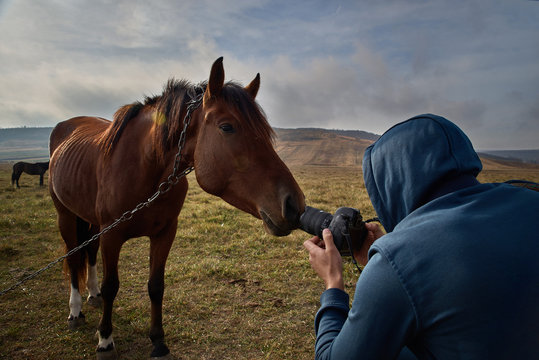 Tourist tourist in a blue sweatshirt with a camera photographs a curious horse. travel concept, photographer at work, autumn time