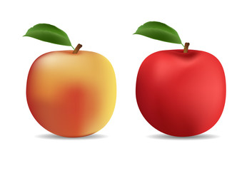 Yellow and red apple isolated on white background. Vector illustration