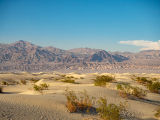 Death Valley National Park, Mojave Desert lone road, California, USA: The hottest place on Earth