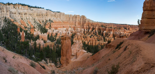 landscape on the bryce canyon in the united states of america