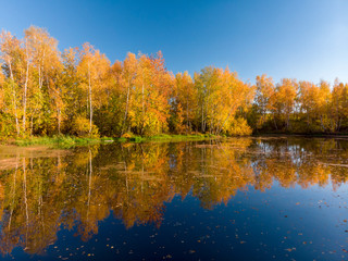 Russian autumn landscape with birches, pond and reflection
