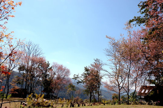 Khun Sathan National Park, Thailand.