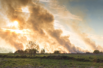Fototapeta premium Forest and steppe fires dry completely destroy the fields and steppes during a severe drought. Disaster brings regular damage to nature and economy of region. Lights field with the harvest of wheat.