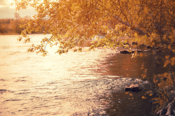 Fantastic foggy river with fresh green grass in the sunlight. Sun beams through tree. Dramatic colorful scenery.