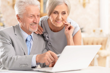 Portrait of happy couple using laptop at home