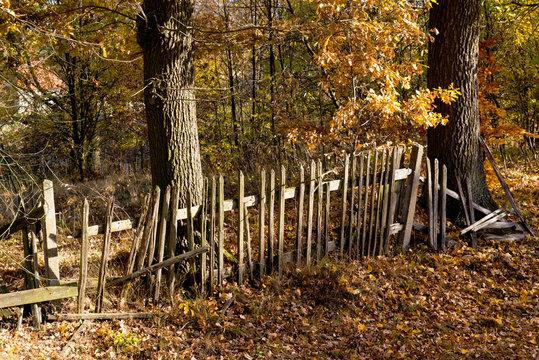 Zaun im Herbstwald