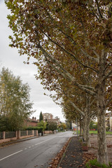 Vie della citt&agrave;