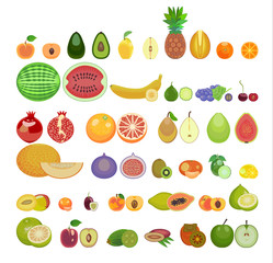 a set of fruit icons thirty-three species are whole and in section.