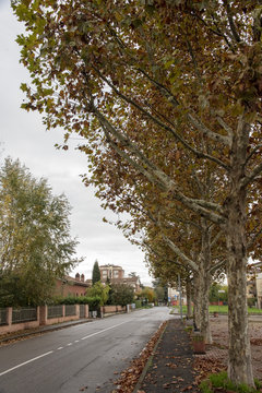 Vie della citt&agrave;
