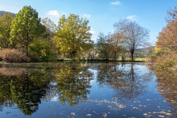 Teich in Saalhausen Lennestadt im Herbst