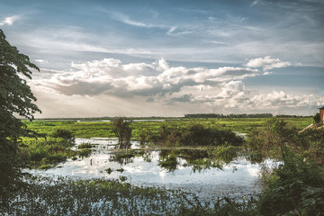sunset in the lake with reflections