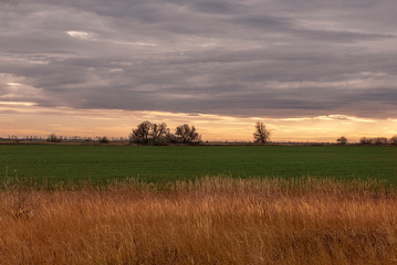 Obraz premium Yellow sky, orange grass and green winter crops