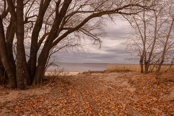 Autumn river