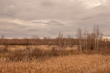 Fototapeta premium Russian autumn in countryside