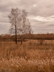 Russian fall in countryside