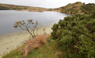 Abandoned china clay pit Bodmin Moor Cornwall