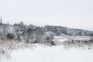 Landscape in the winter cloudy day