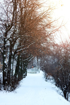 alley pathway park winter