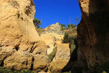 sculptures of nature 03