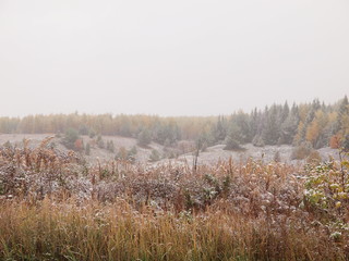 First snow. Autumn. Russia, Ural, Perm region