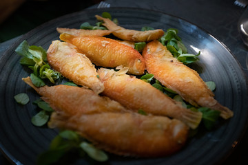 Calabrian fried fish called surici (mice), seabed fish. Pearly Razorfish or Cleaver Wrasse  (Xyrichtys novacula)